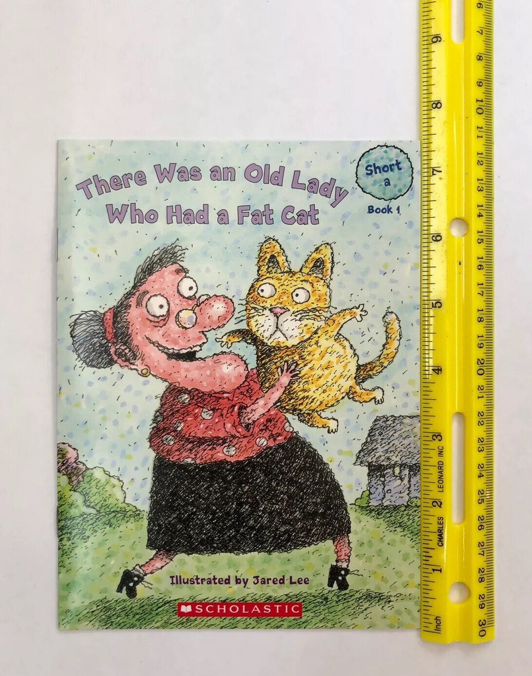 There Was An Old Lady Who Swallowed Some Phonics Lot 12