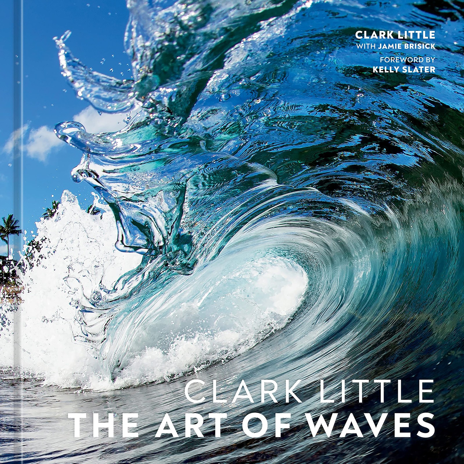 Clark Little: The Art of Waves, Little, Clark, Excellent Book