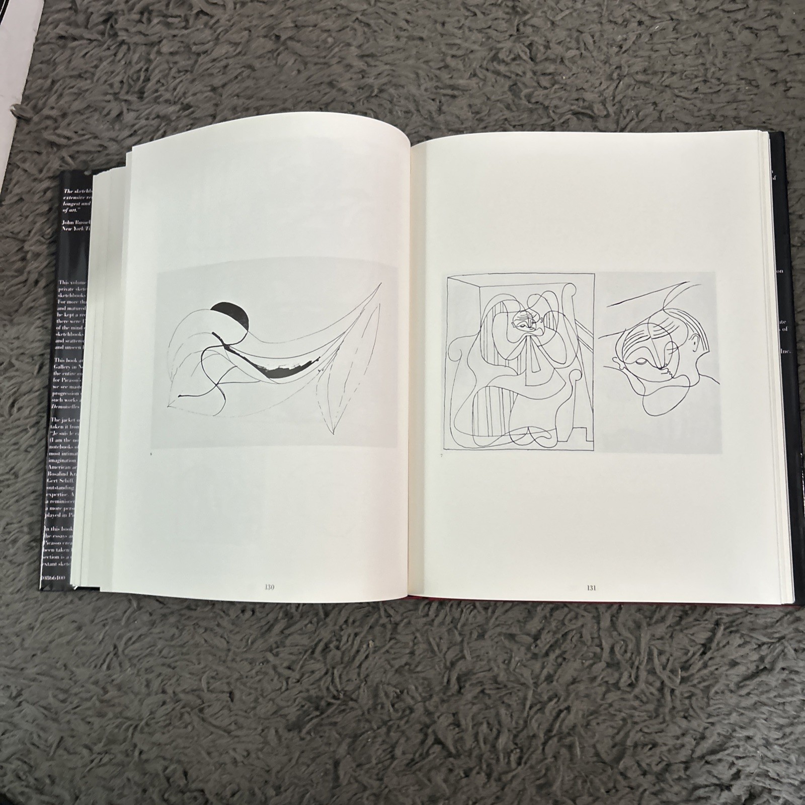 Je Suis Le Cahier The Sketchbooks of Picasso HC/DJ. 1st Ed 1986