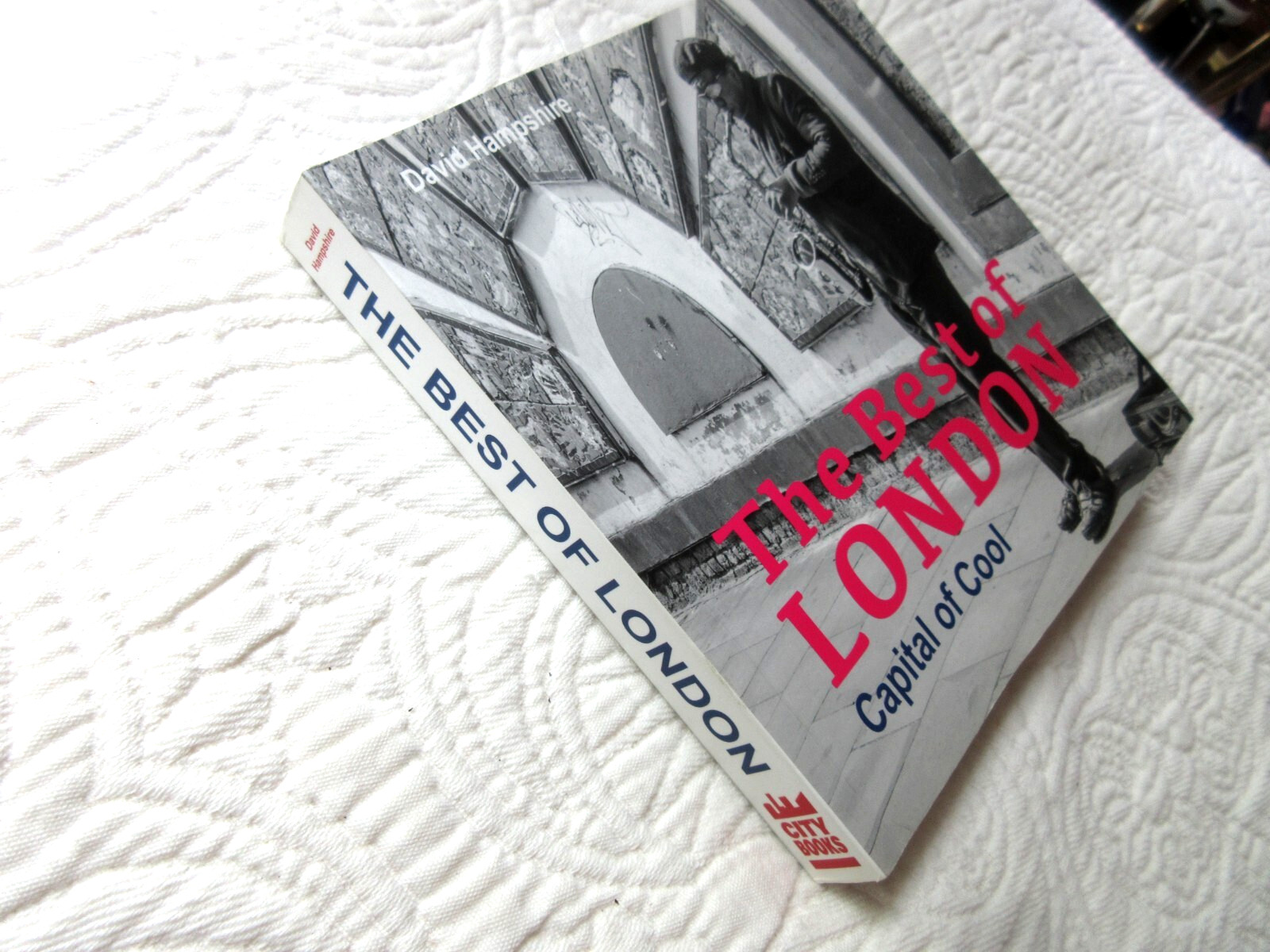 THE BEST OF LONDON THE CAPITAL OF COOL PB DAVID HAMPSHIRE ENGLAND 256 PAGES