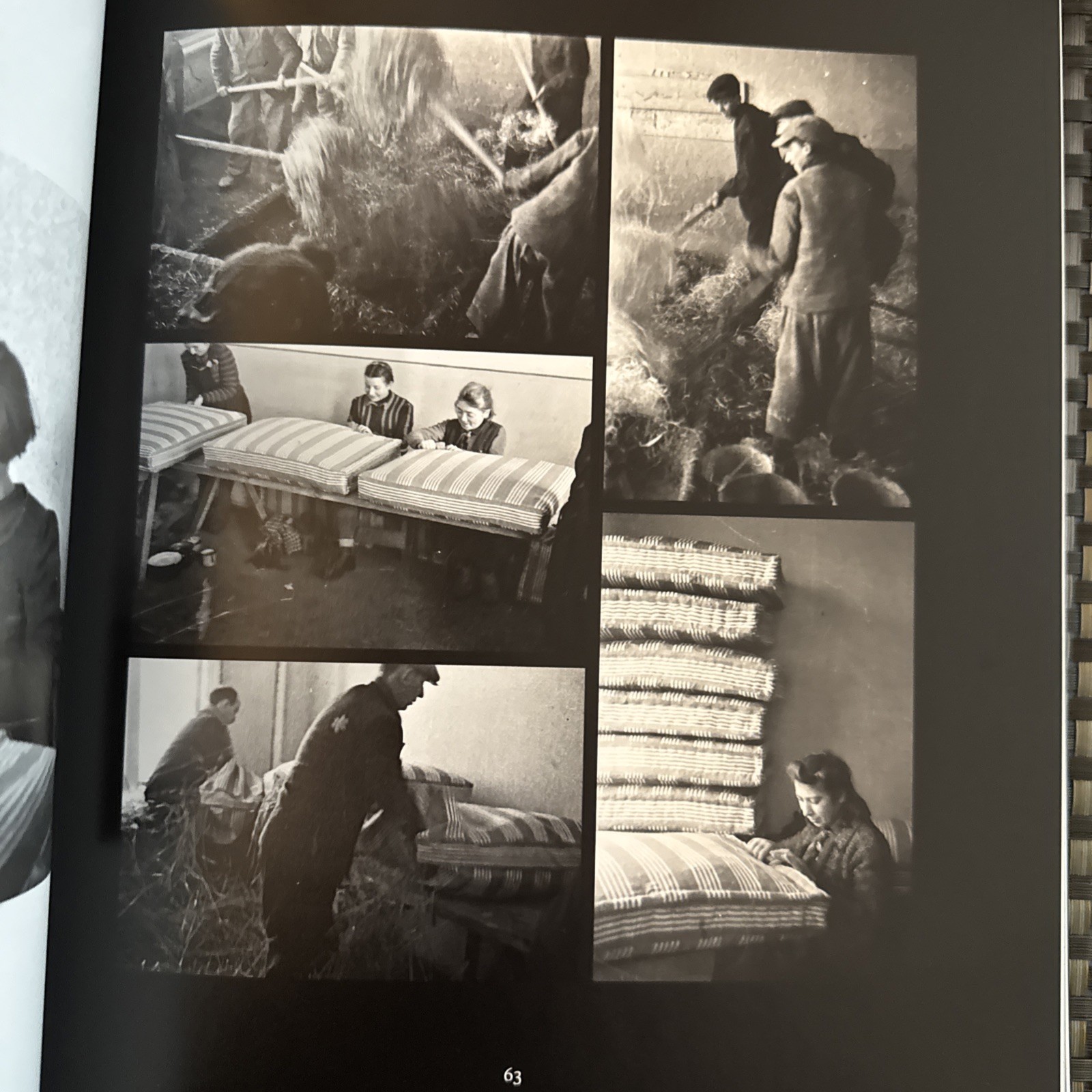 Memory Unearthed: The Lodz Ghetto Photographs of Henryk Ross by Maia-Mari Sutnik