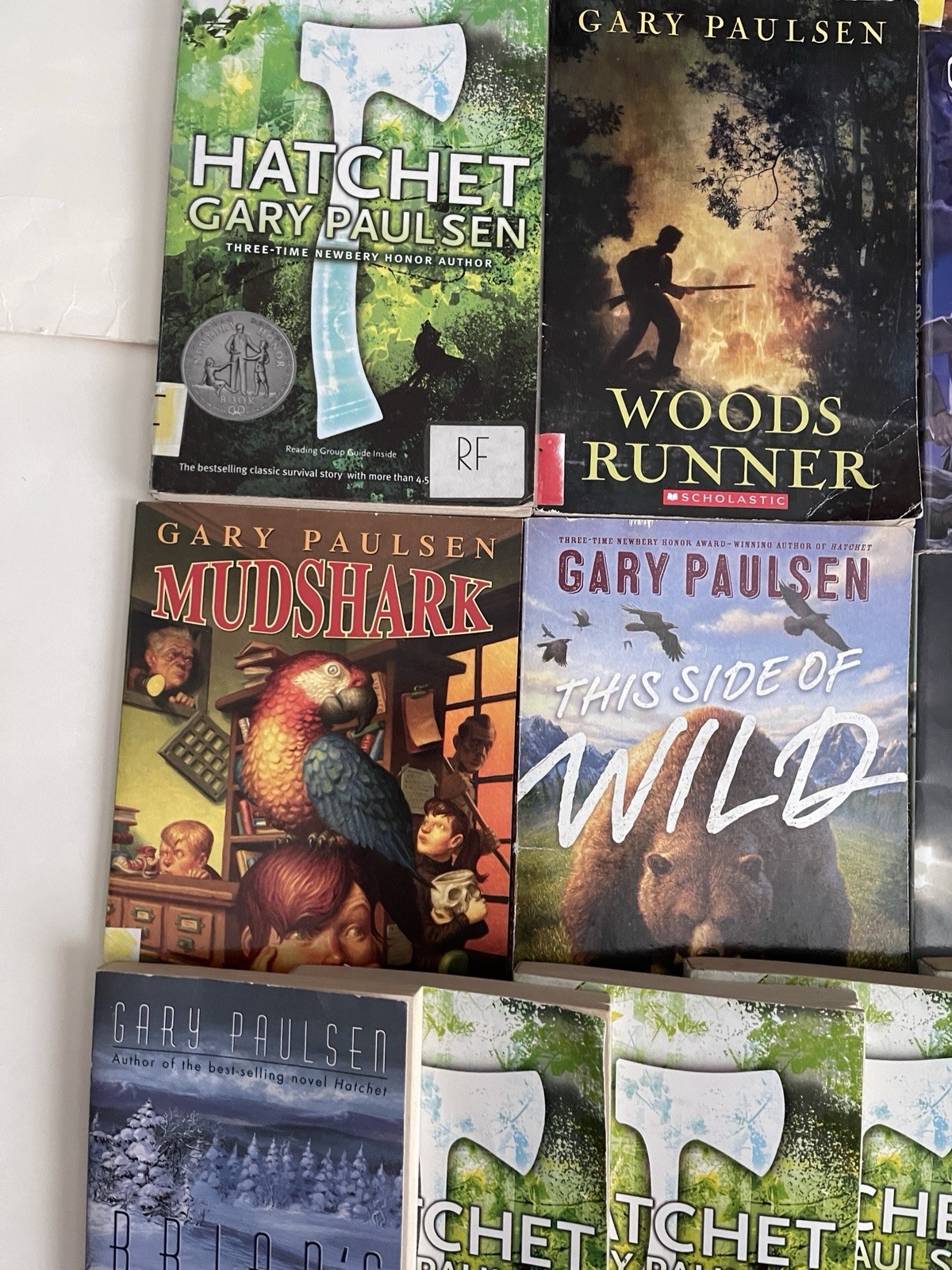 Lot of 23 Gary Paulsen Books- Lawn Boy- Hatchet -Tracker – Frog – Tucket –