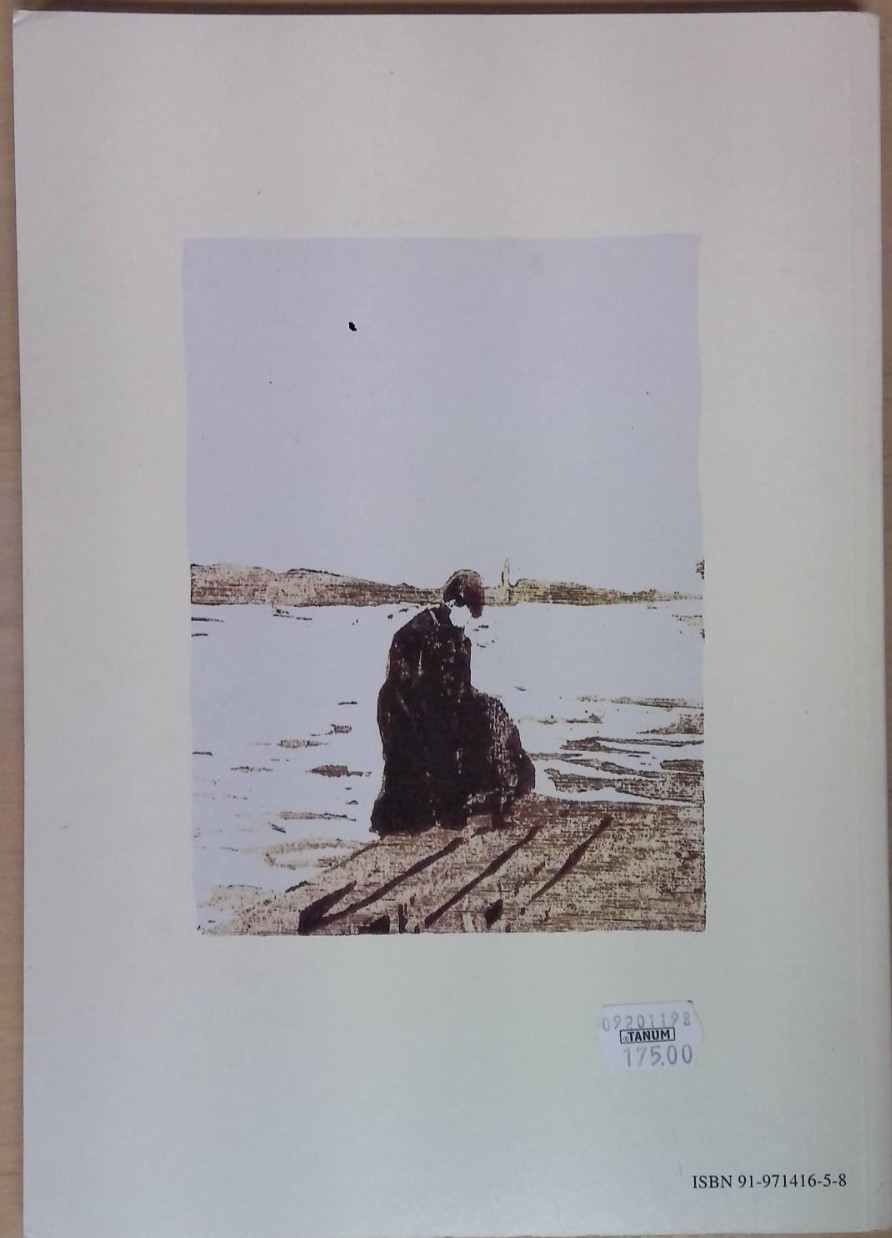 Lars Lerin collection 4 vols