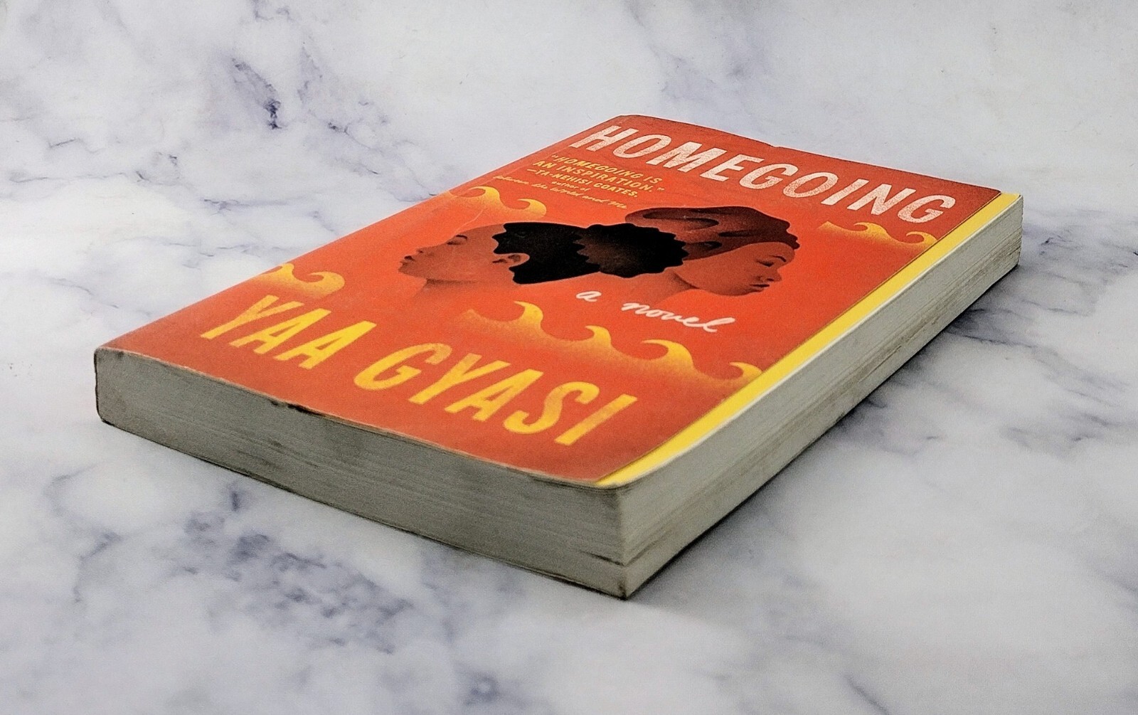 Homegoing by Yaa Gyasi (2017, Trade Paperback) New, Other