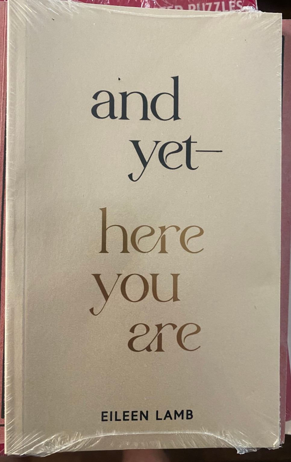 And Yet—Here You Are Eileen Lamb BRAND NEW Thought Catalog Books