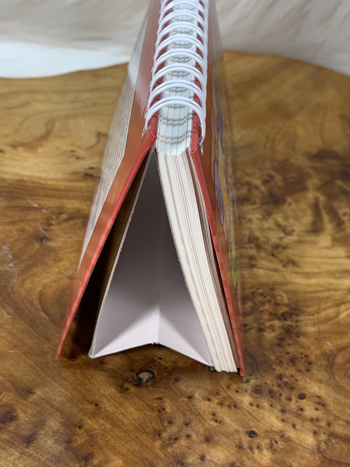 5 Ingredients or Less Cookbook Small Unbranded Quick Meals Counter Stand