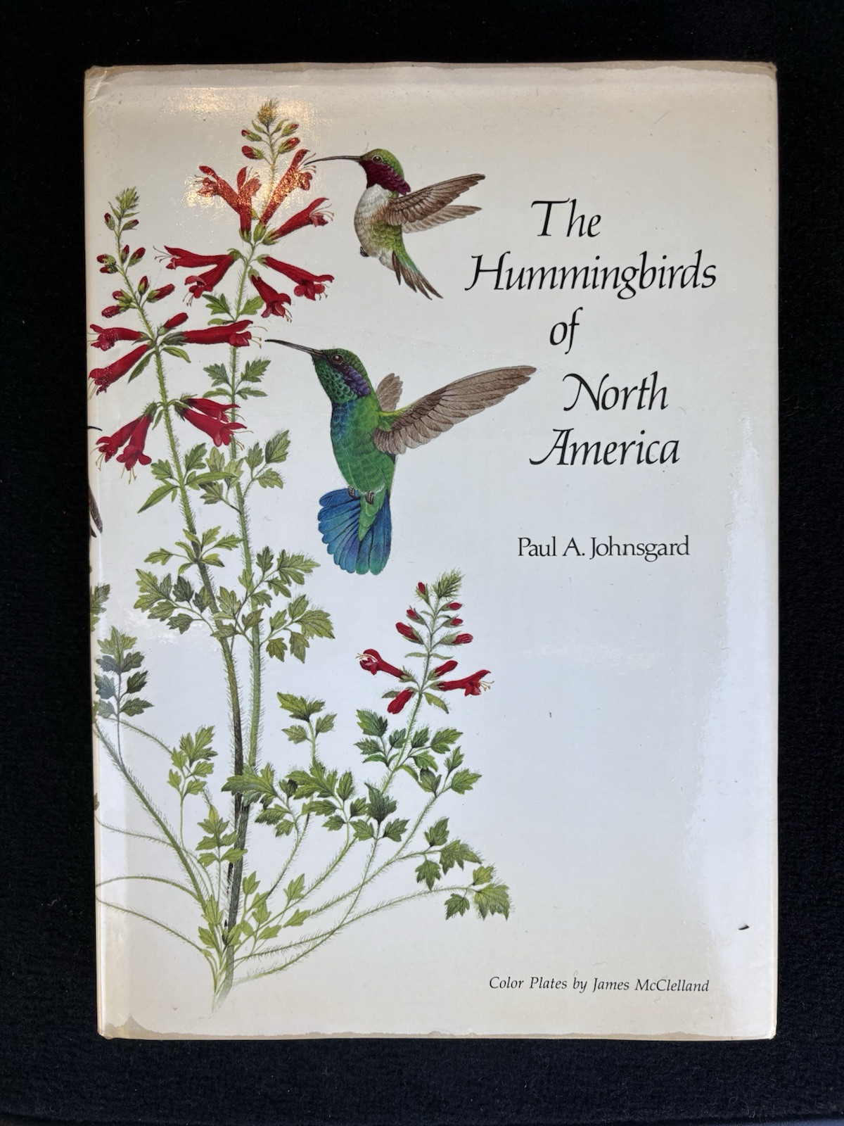 HUMMINGBIRDS OF NORTH AMERICA By Paul A. Johnsgard – Hardcover