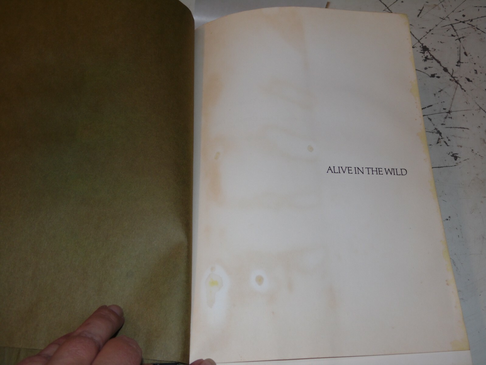 Alive in the Wild – Cahalne – 244 Pages