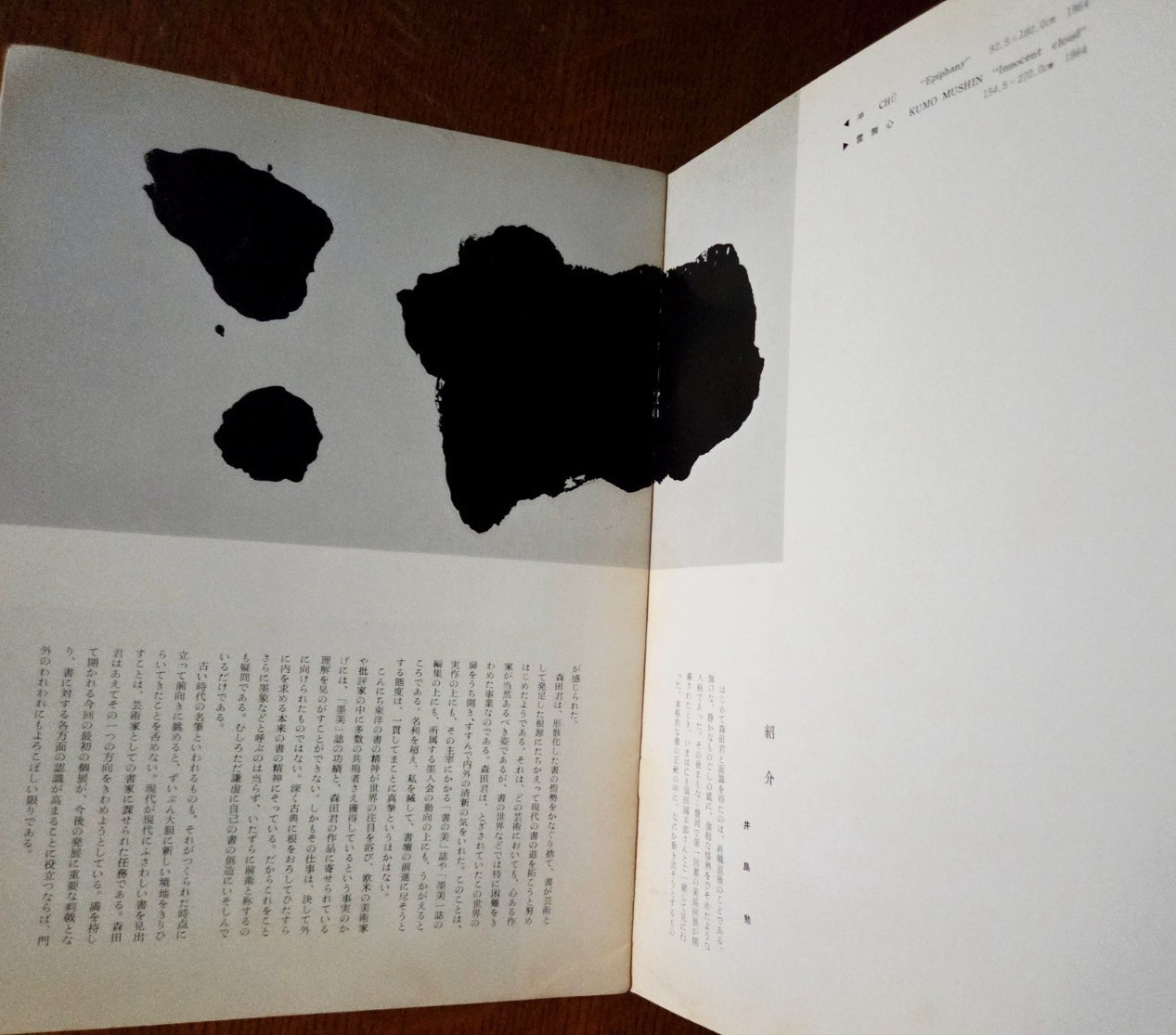Morita Shiryū: Work And Thought Rare Art of Sho Catalog Kyoto Japan, 1964 vtg