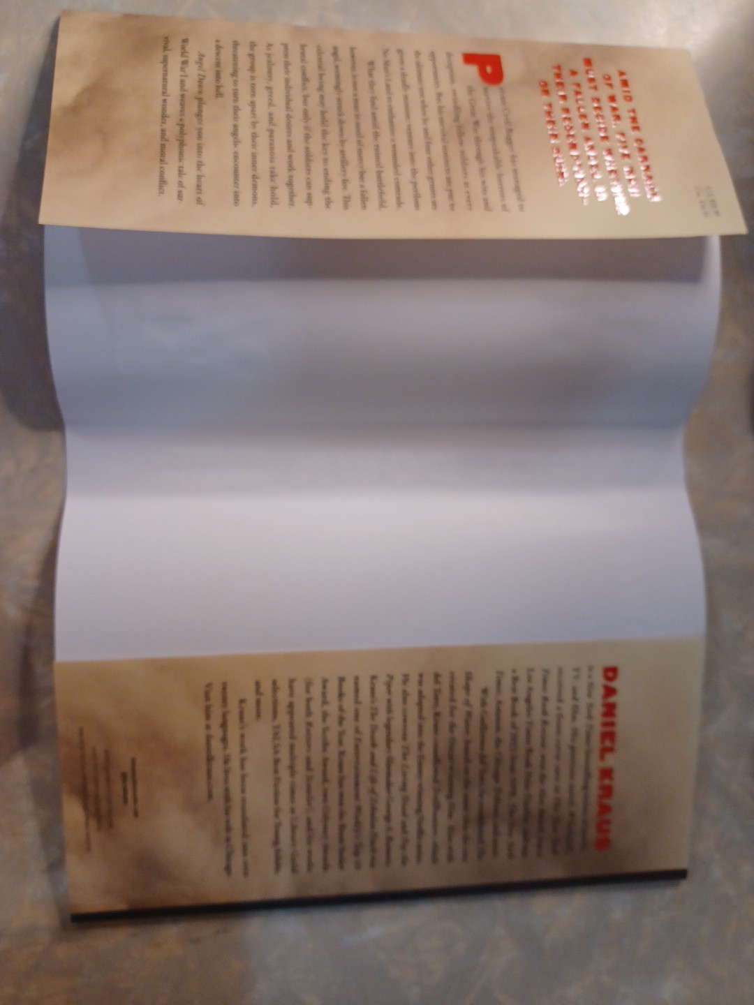 Angel Down – Daniel Kraus HCDJ 1st Edition/1st Printing Pulitzer Prize Winner
