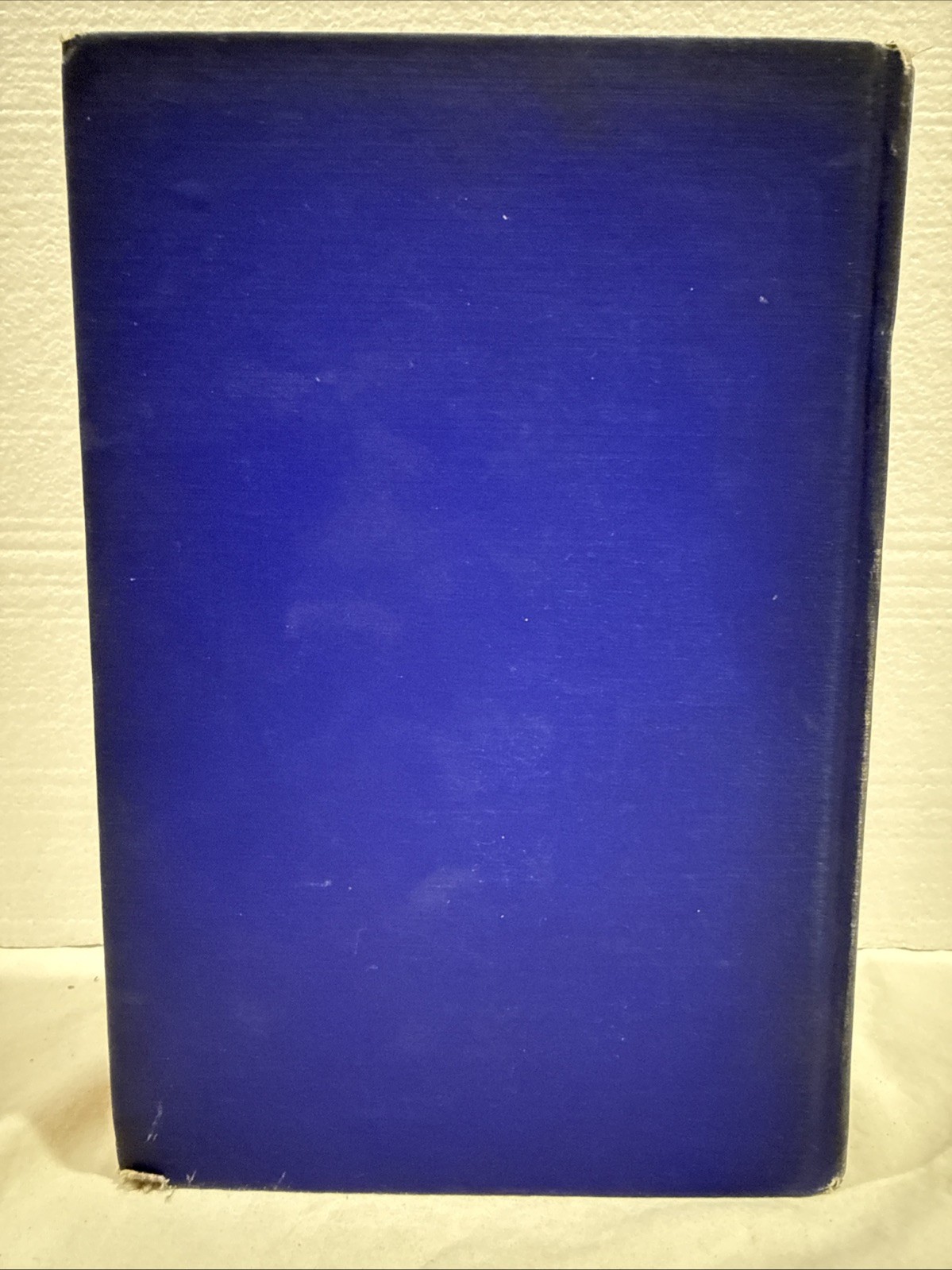 The New Palestine W.D McCrackan 1922 Antique Hardback First Edition