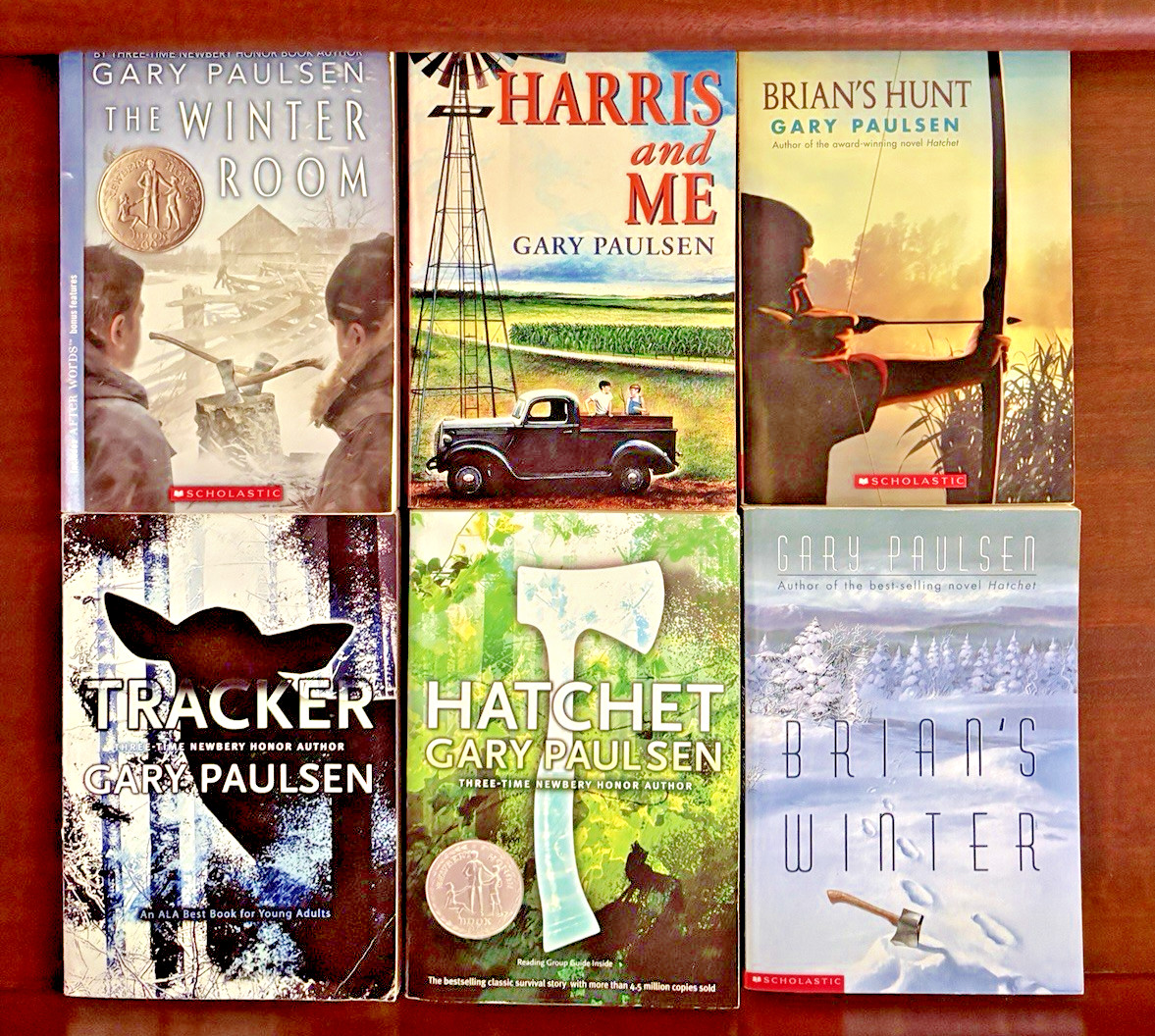 Gary Paulsen Lot 6 Books Hatchet Brian Tracker Winter Newbery Grades 4th-6th