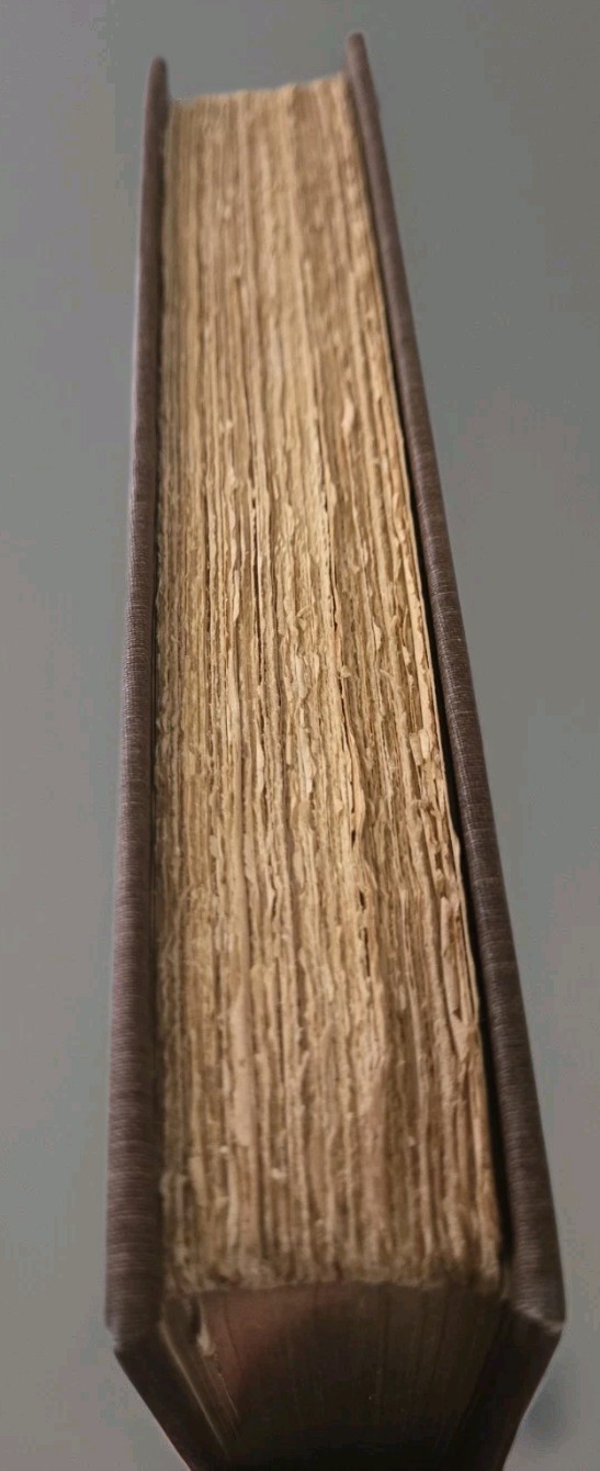 1902 The Robbers by Friedrich Schiller Luxury Edition #15 of 1,000