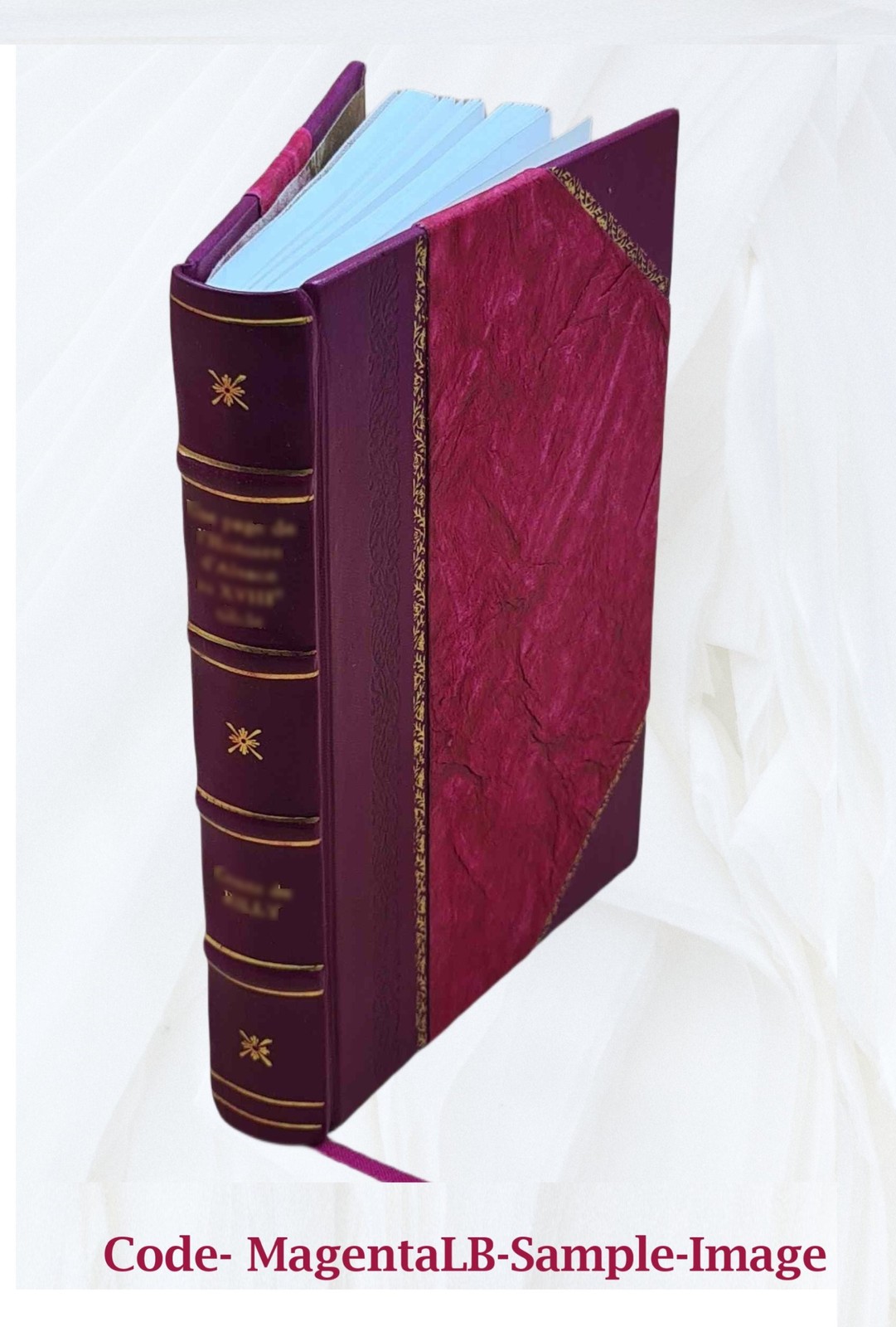 Autobiography Collateral Reminiscences, Arguments In Important C [Leather Bound]