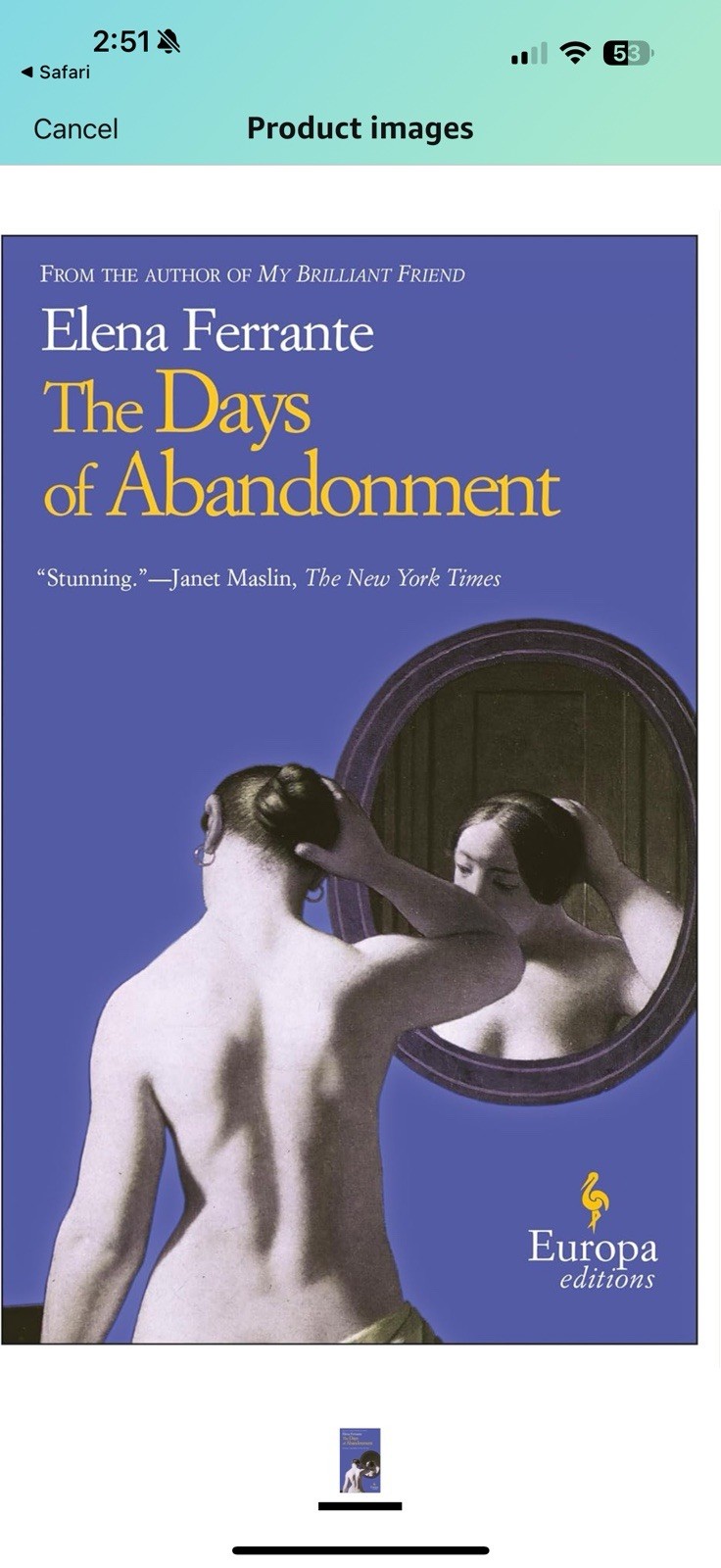 Elena Ferrante The Days of Abandonment Paperback Novel Fiction Book Euro Edition