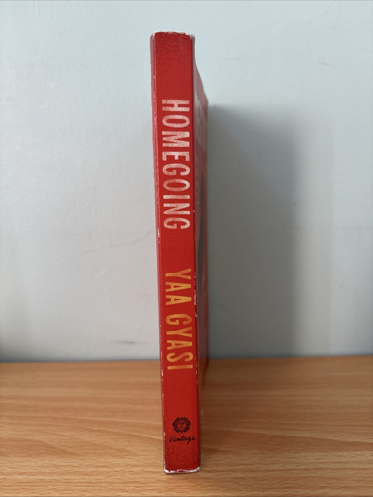 Homegoing Paperback Yaa Gyasi 2017 Historical Fiction Novel