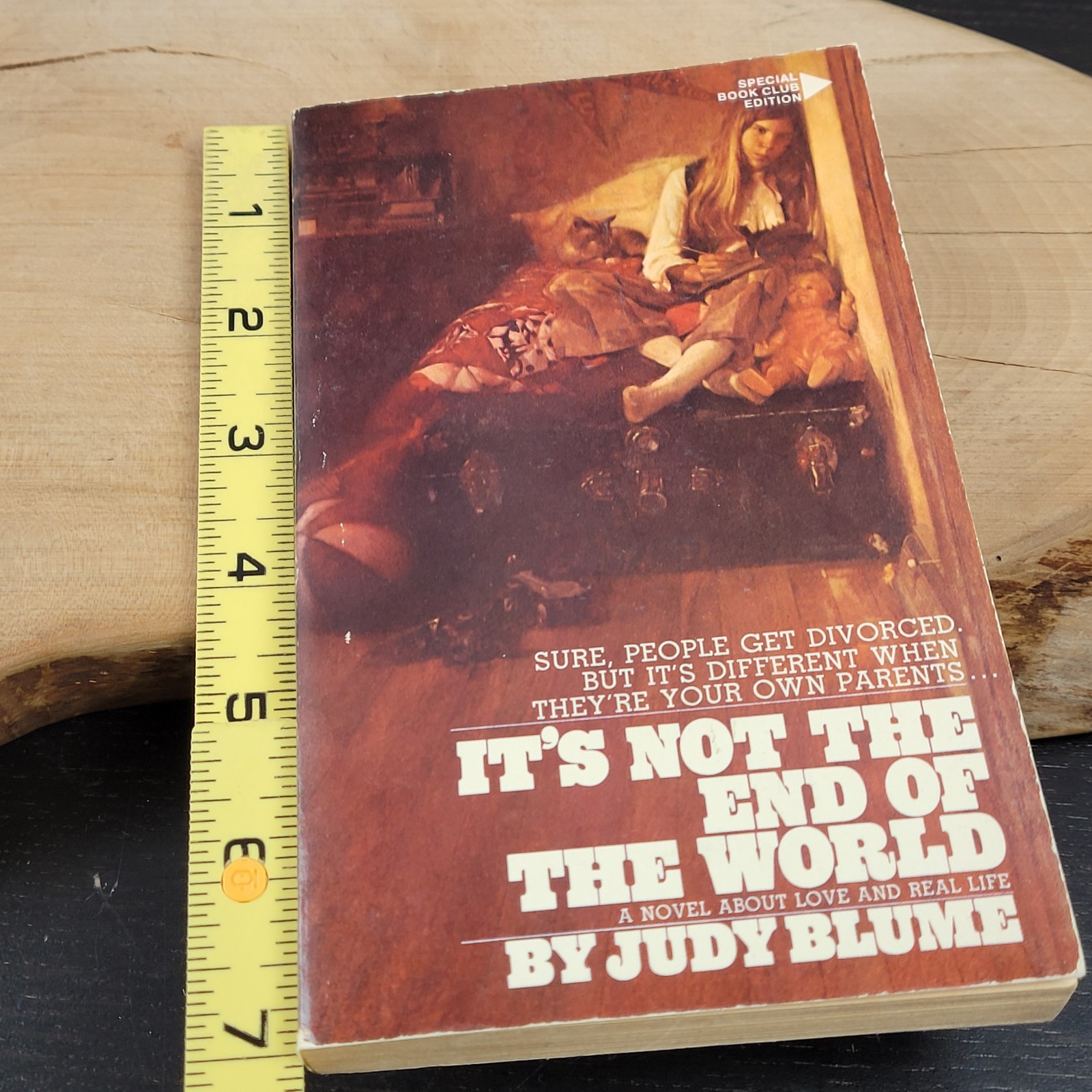 Judy Blume It’s Not The End Of The World PB Book Pathfinder Novel Vtg 1973 BCE