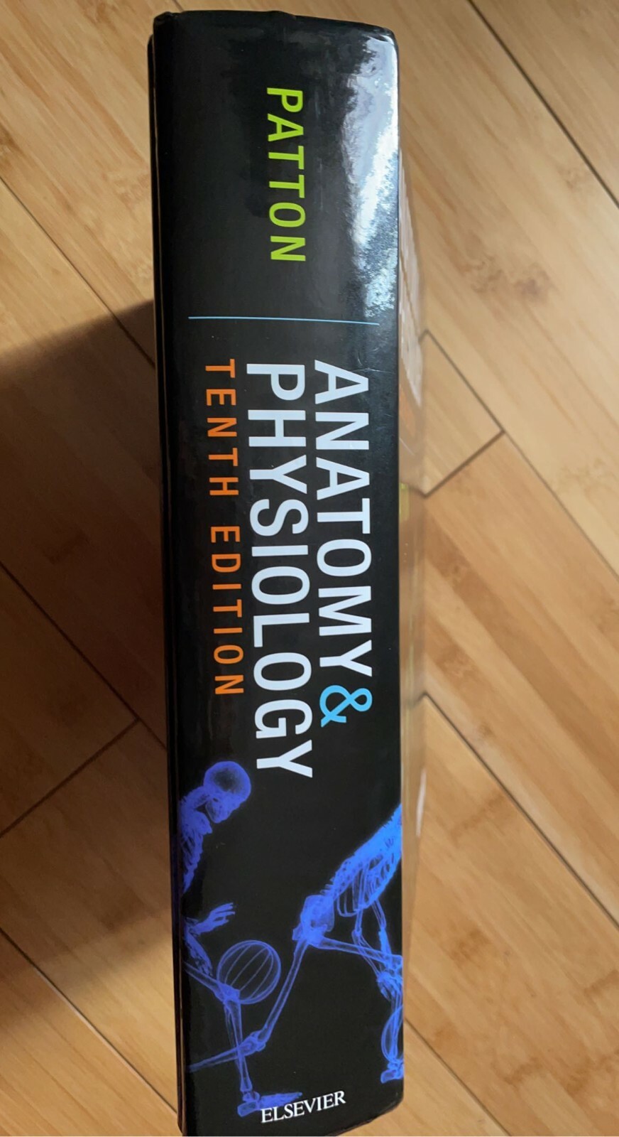 brand new college textbooks