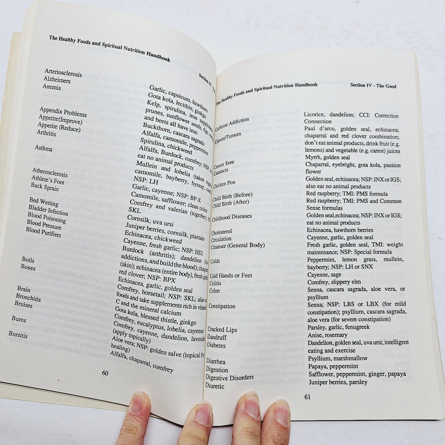 Spiritual Nutrition / Healthy Foods Handbook – Keith T. Wright 1989 Pbk