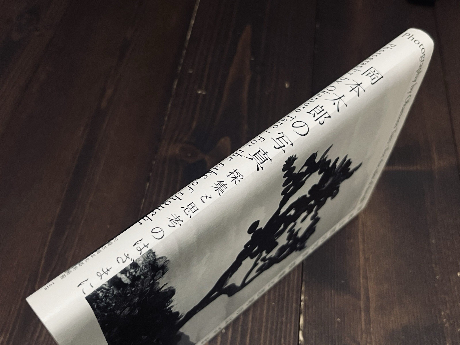 TARO OKAMOTO FOR THE SAKE OF THOUGHT PHOTO EXHIBITION CATALOG BOOK 2018 JAPAN