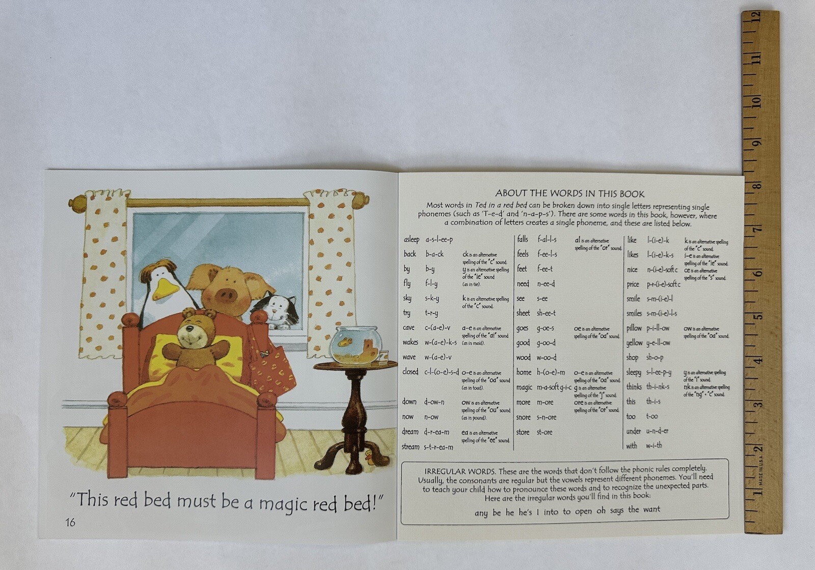 Phonics Readers Children’s Books Beginning Readers Lot 10