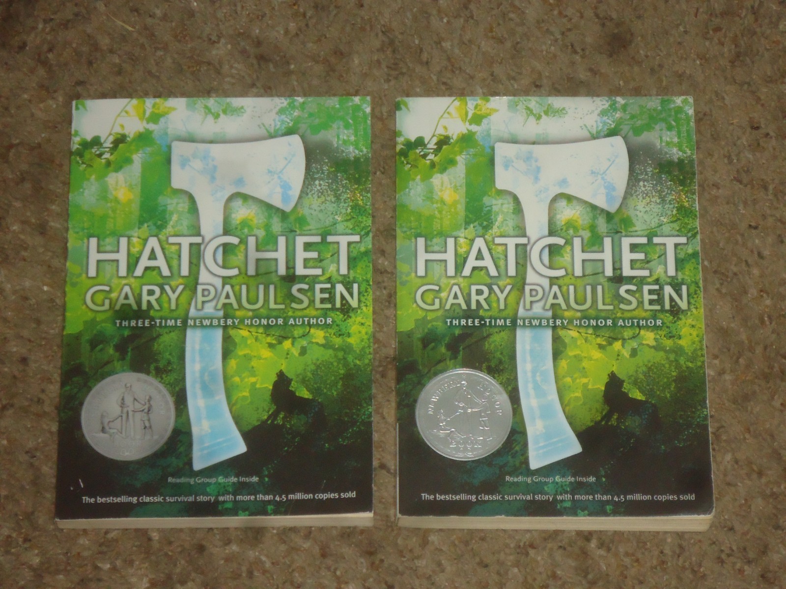Lot 20 Hatchet Books Teacher Class Set Gary Paulsen Guided Reading