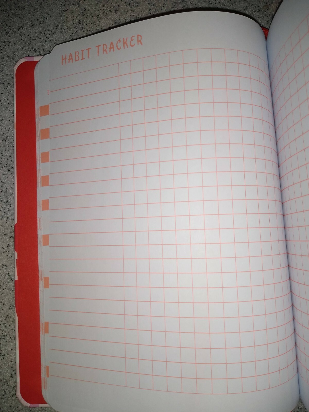 Pen+ Gear Fitness Journal – 256 pages