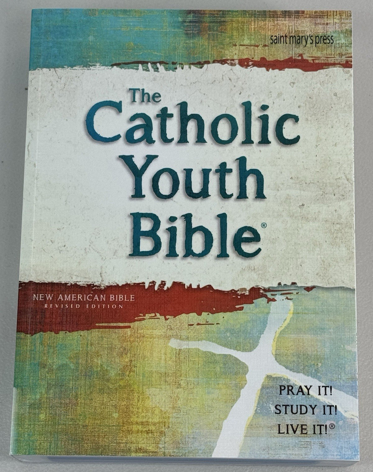 The Catholic Youth Bible, 4th Edition: New American Bible ISBN 9781599829258