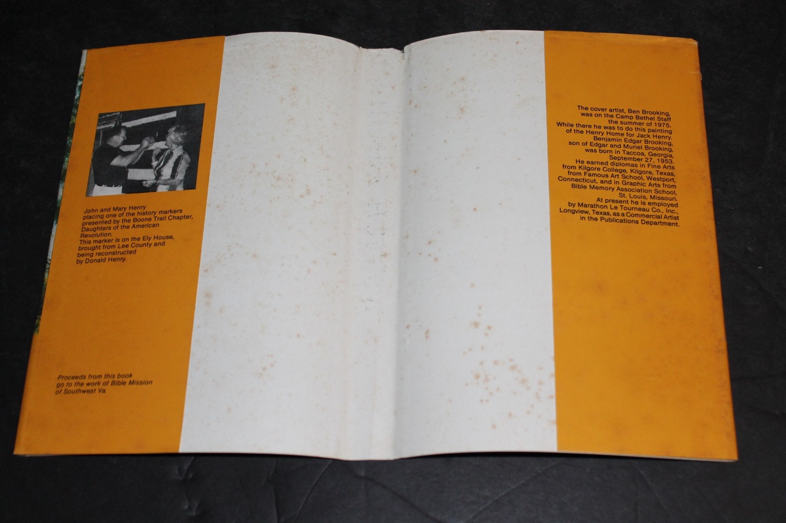 (1979 HB First Edition) UP HENRY HOLLOW southwest Virginia