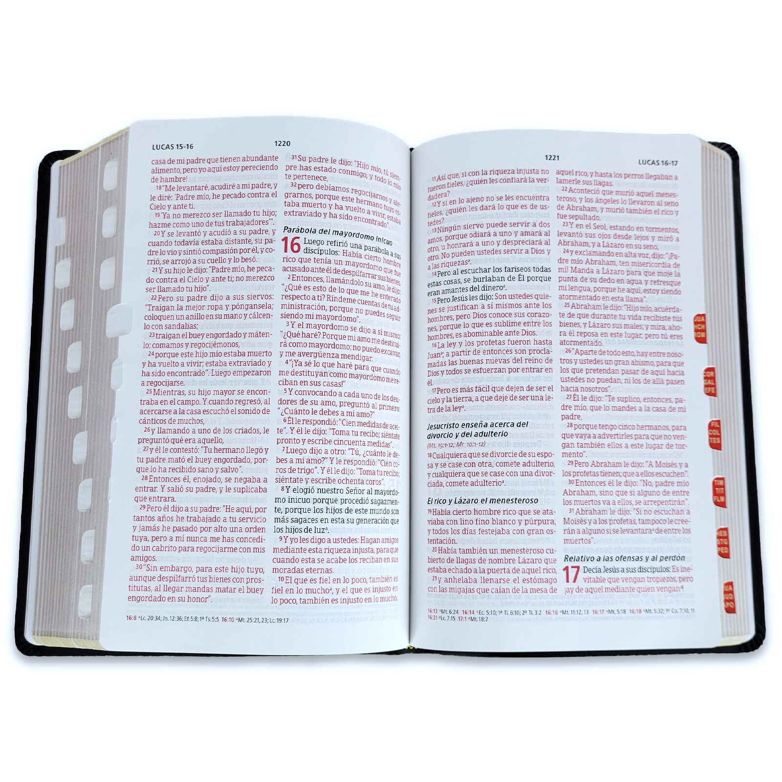 Biblia Peshitta Pastoral del Araemo de los antiguos manuscritos con indice