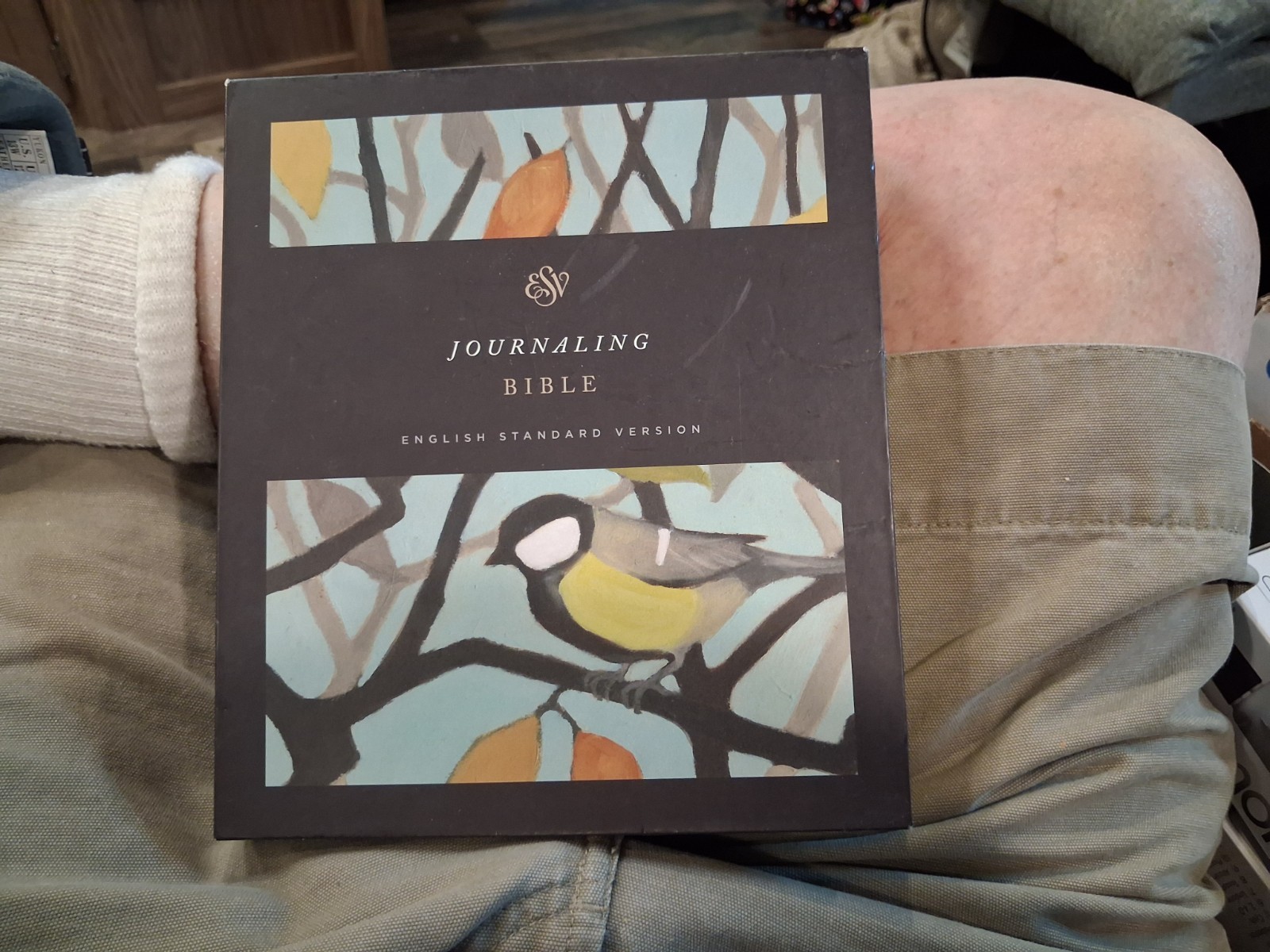 ESV Journaling Bible (Autumn Song) Birds Crossway New? Blank Read Slip Case