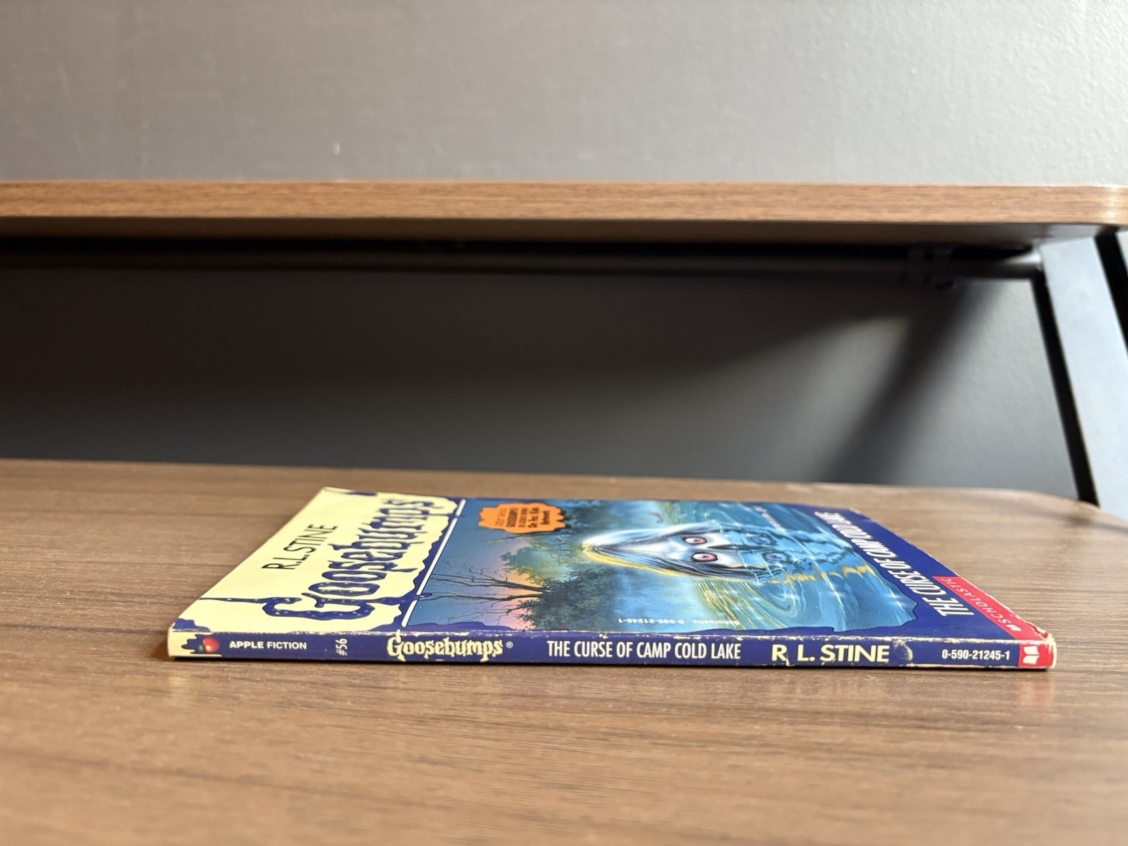 Good Thin Edition 1st print Goosebumps #56 The Curse of Camp Cold Lake ~ Stine