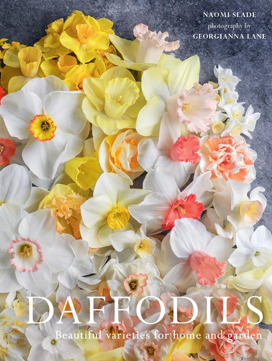 Daffodils: Beautiful Varieties for Home and Garden (Flowers), Slade, Naomi, Exce
