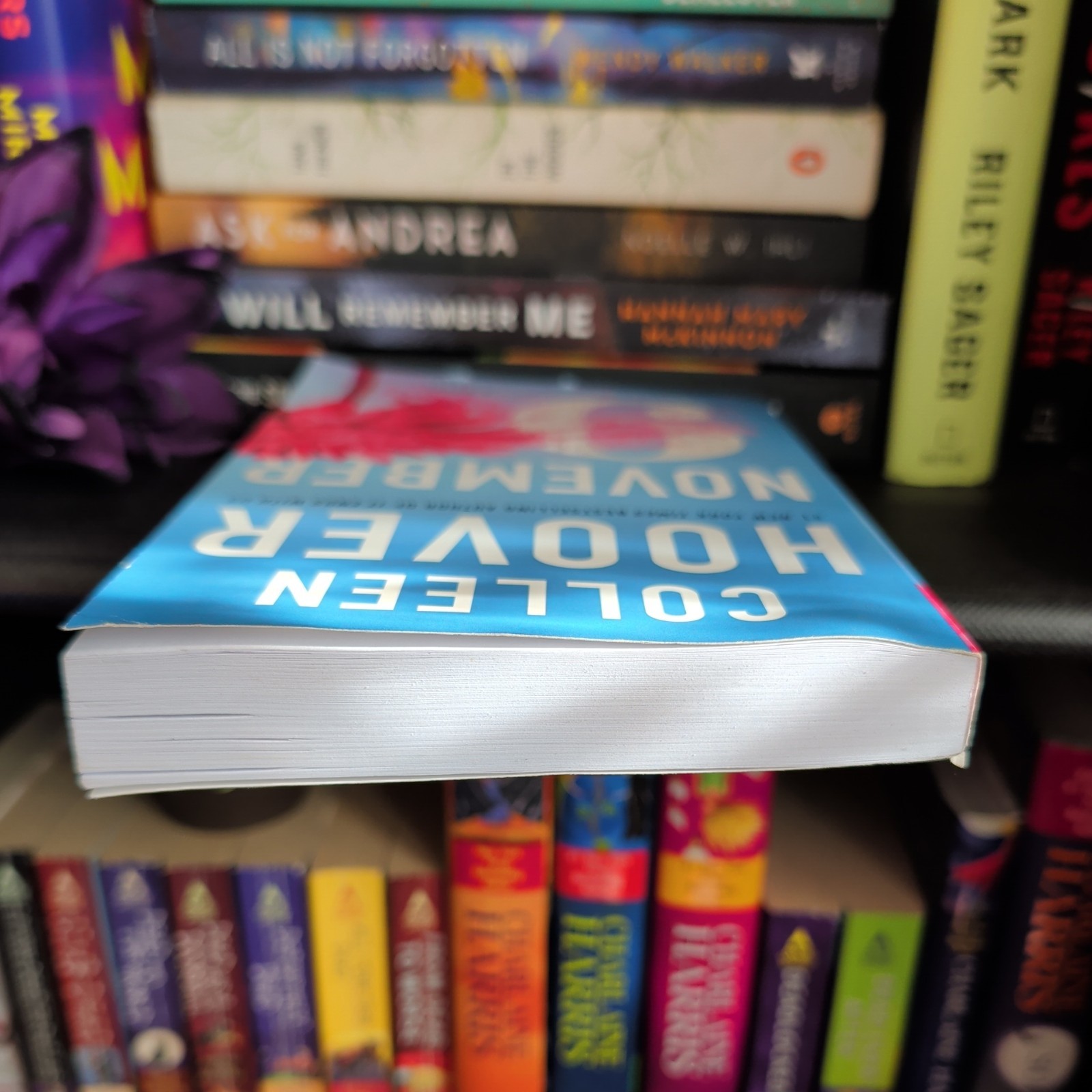 November 9 : A Novel by Colleen Hoover (2015, Trade Paperback)