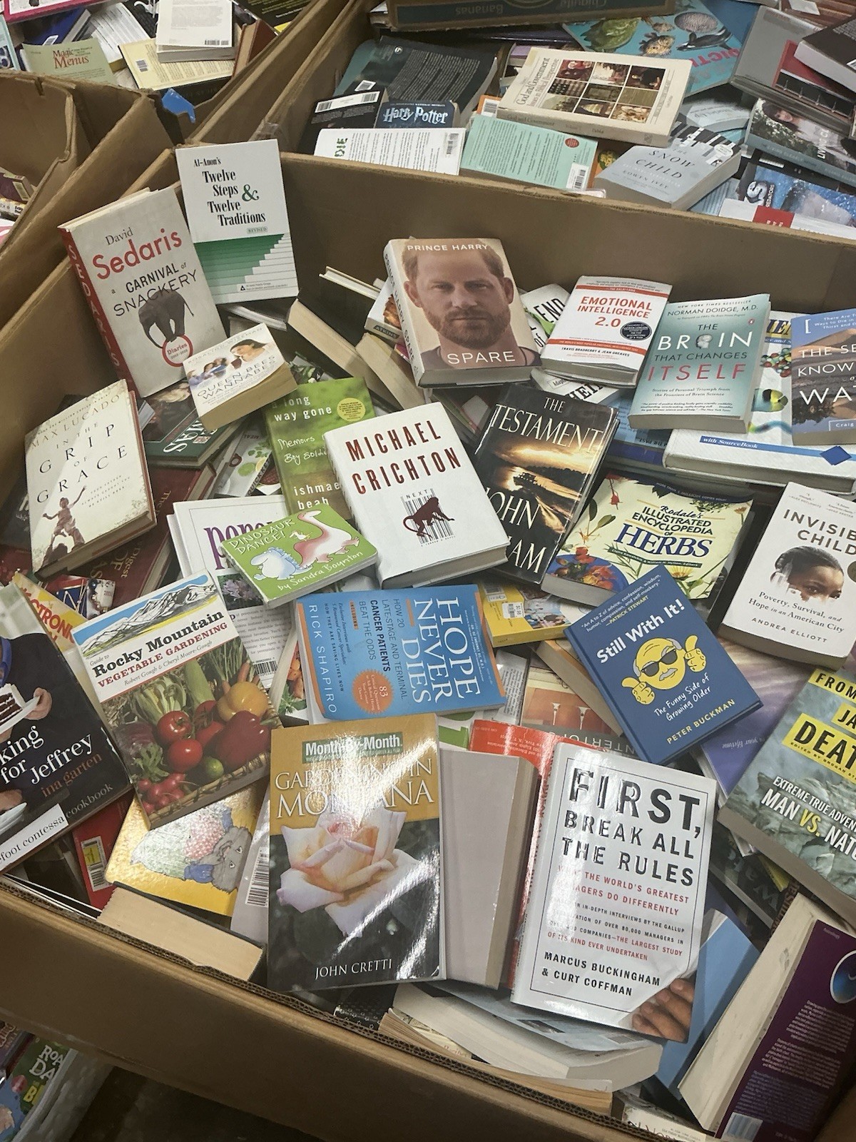 10 Pound Book Lot: Choose Your Genre-Fiction Nonfiction Kids Self-Help History
