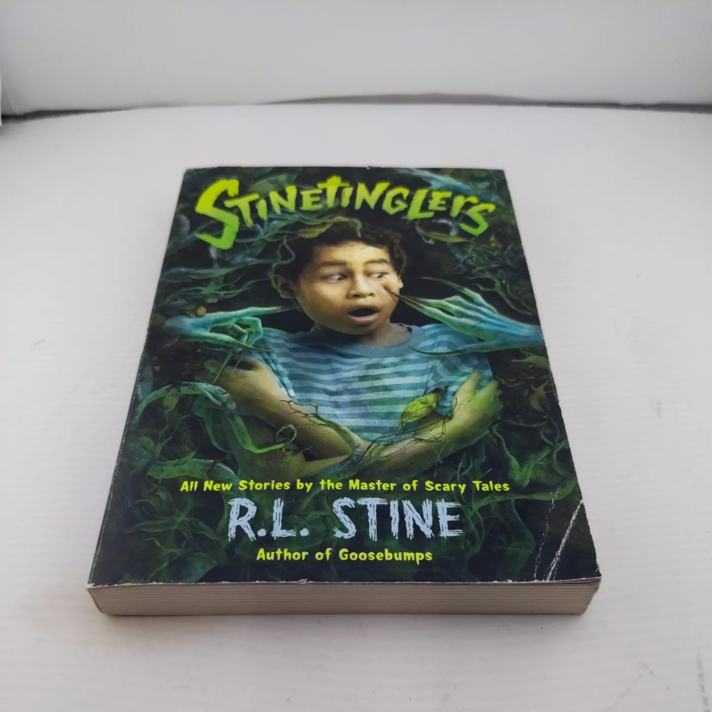 R L Stine Stinetinglers Book Collection Scary Short Stories Square Fish