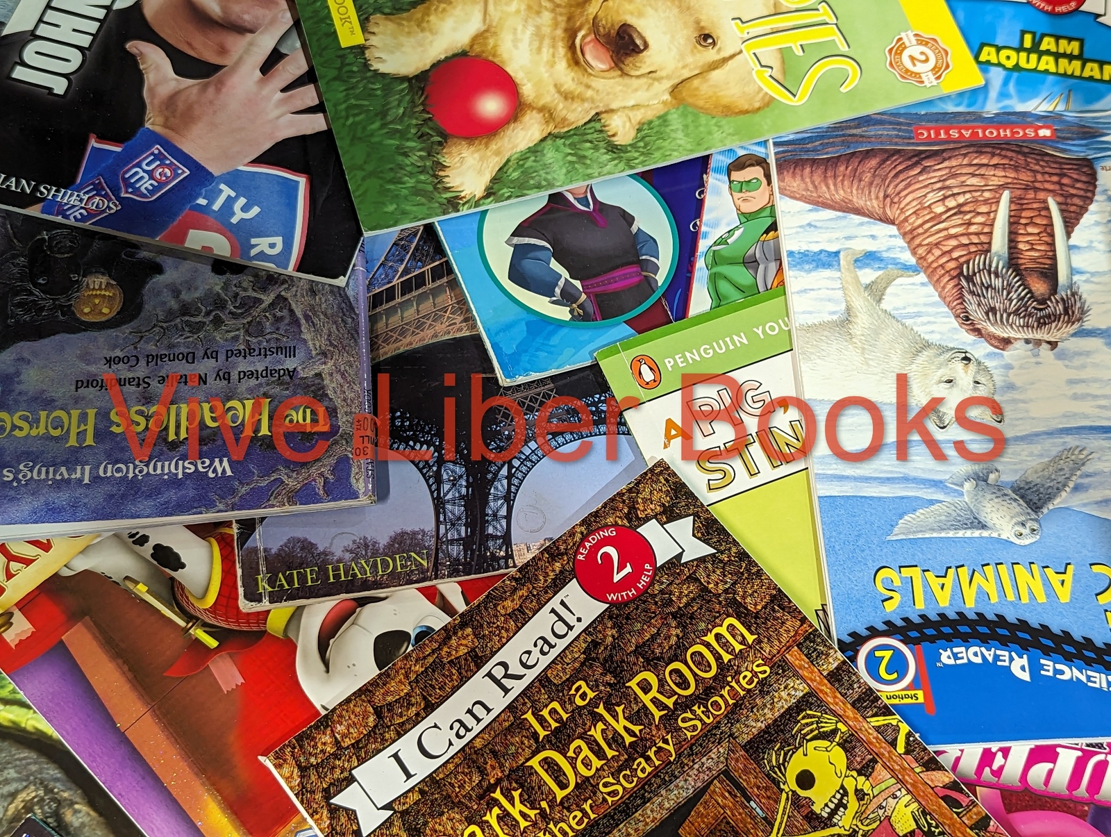 Huge Lot of 100 Step Into Reading Level 1 2 3 Books – My First – I Can Read MIX