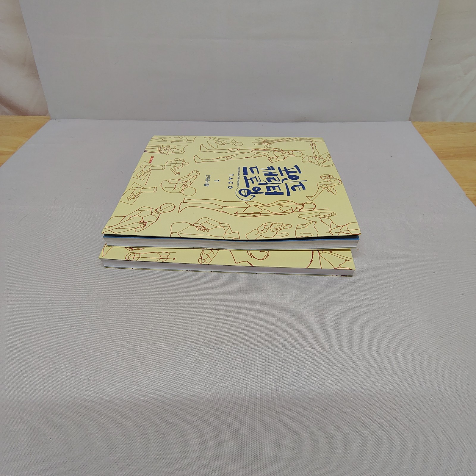 Point Character Drawing Vol 1 & 2 TACO Korean Art Anatomy Manga Drawing Books