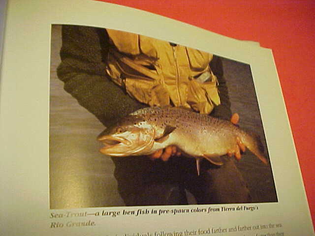 THE ILLUSTRATED ENCYCLOPEDIA OF FLY-FISHING BY SILVIO CALABI ((O)) 336 PAGES