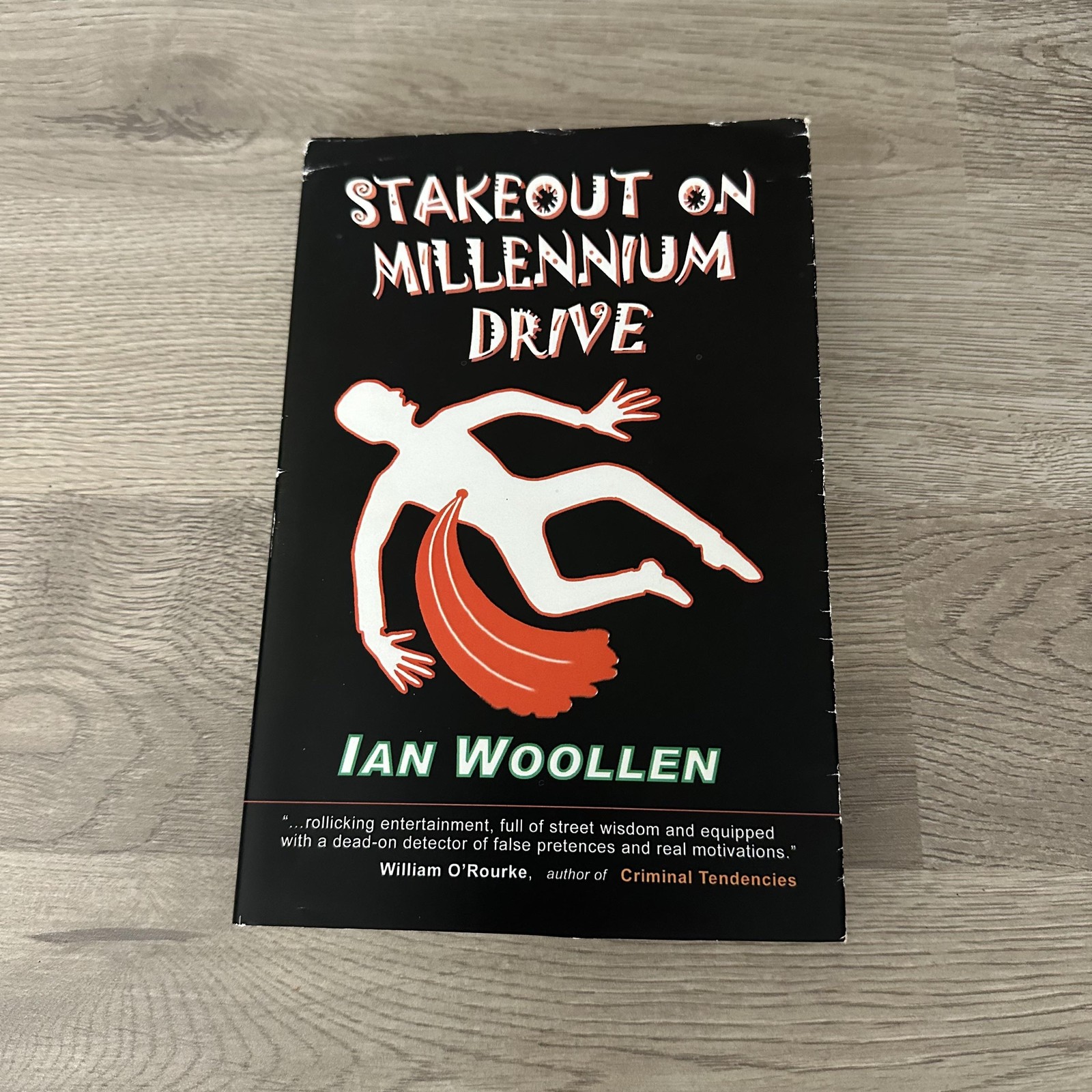 Stakeout On Millennium Drive Ian Woollen Signed Mystery 1st Ed 2005 PB USA