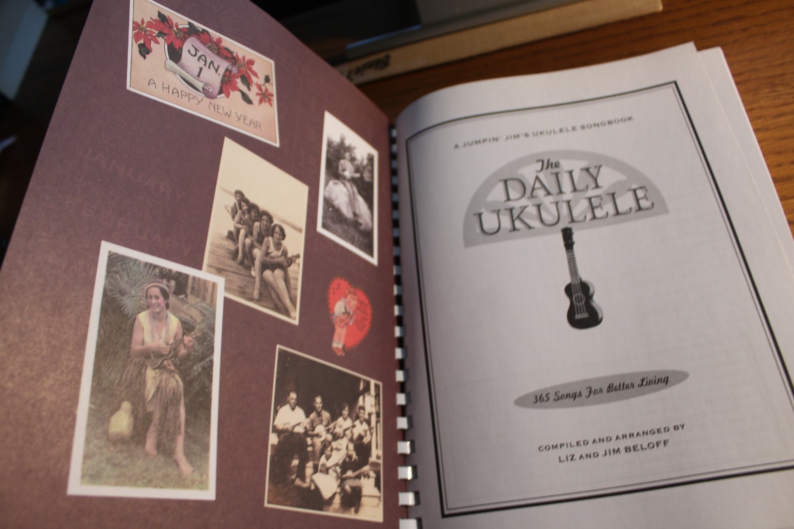 The Daily Ukulele 365 songs for better living Liz and Jim Beloff NEW
