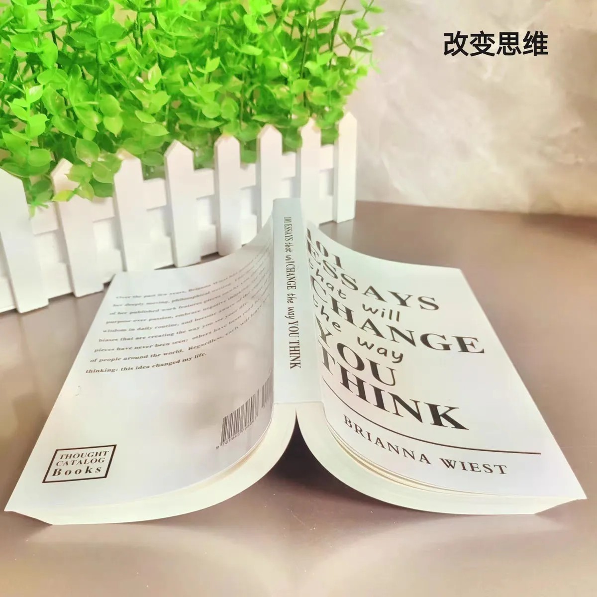 101 Essays That Will Change the Way You Think by Brianna Wiest Free Ship ⭐⭐⭐⭐⭐