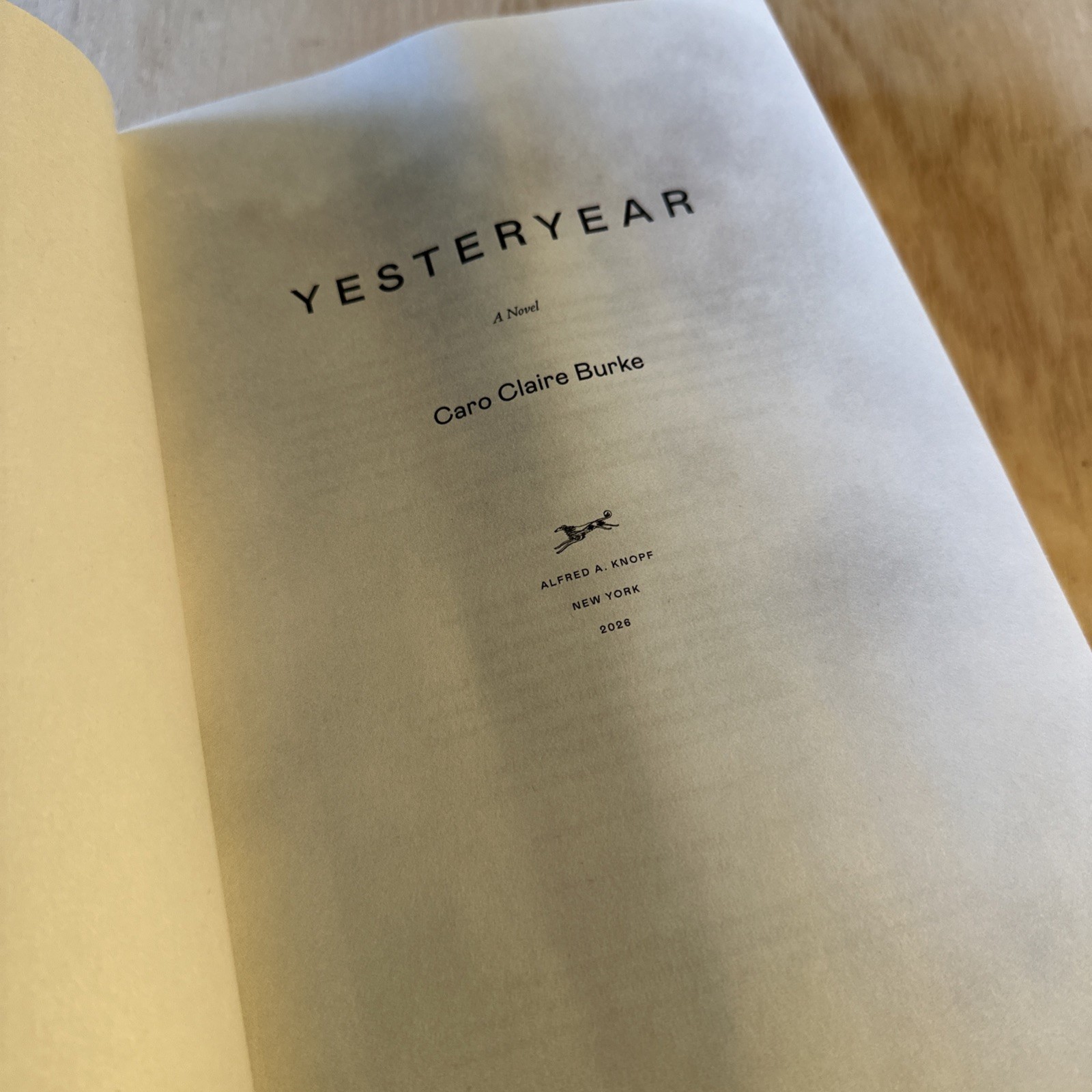 Yesteryear: a GMA Book Club Pick : A Novel by Caro Claire Burke (2026,…
