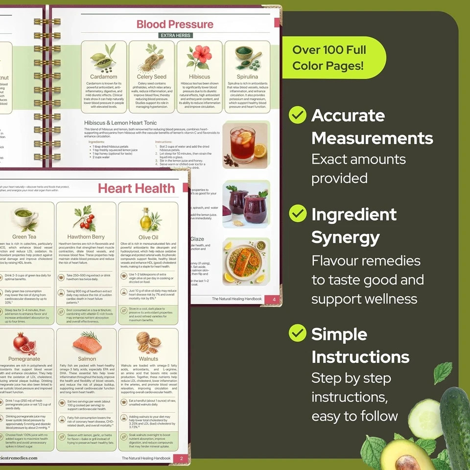 The Natural Healing Handbook, Spiral-Bound Guide For Herbal Remedies And Natural