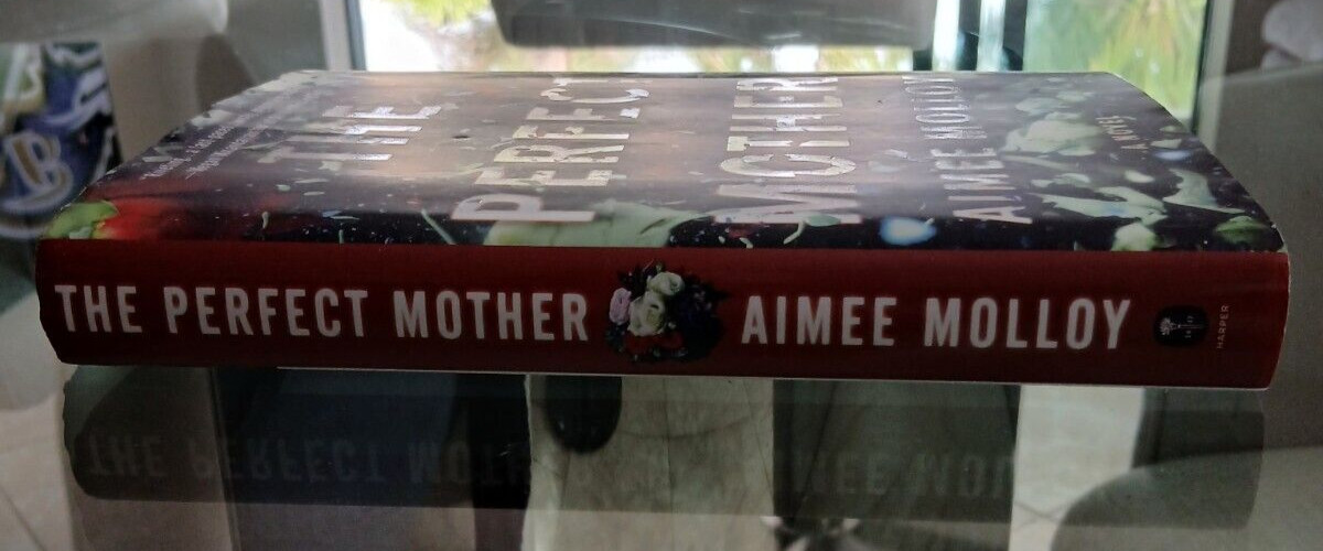 The Perfect Mother By Aimee Molloy Hardcover 317 Pages
