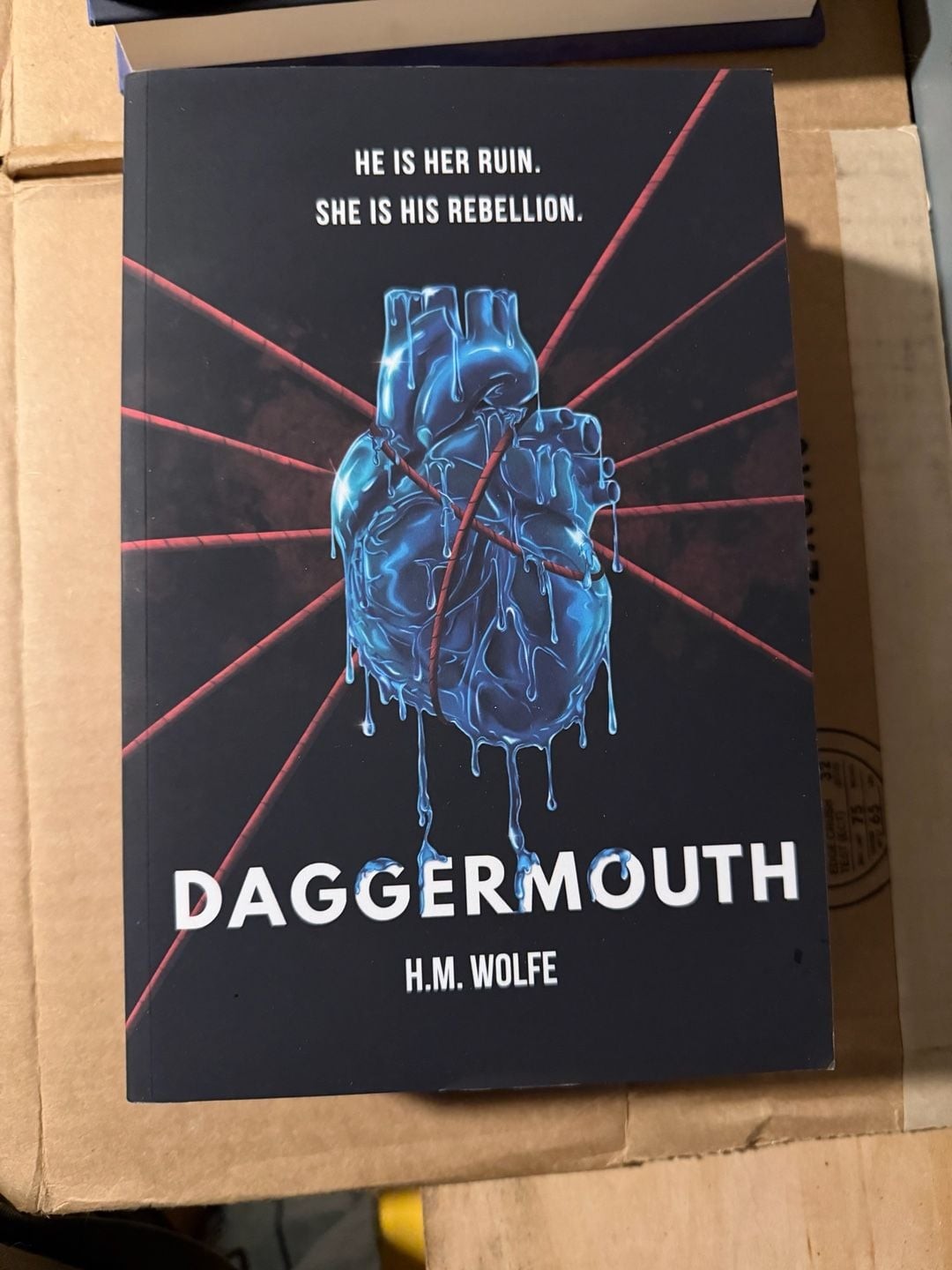 Daggermouth: A Dark Dystopian Romance by H.M. Wolfe