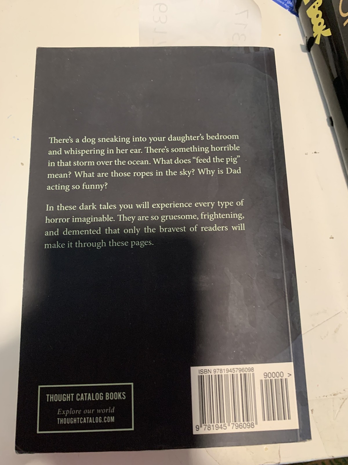 The Worst Kind of Monsters by Elias Witherow – Thought Catalog Horror Book