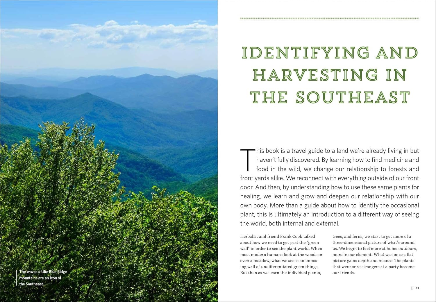 Southeast Medicinal Plants: Identify, Harvest, and Use 106 Wild Herbs for Health