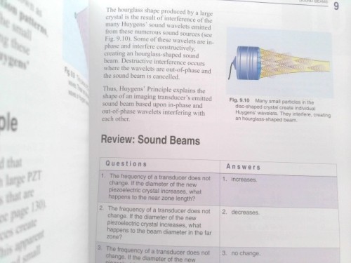 Understanding Ultrasound Physics (Rev Ed) by Edelman, Sidney K.