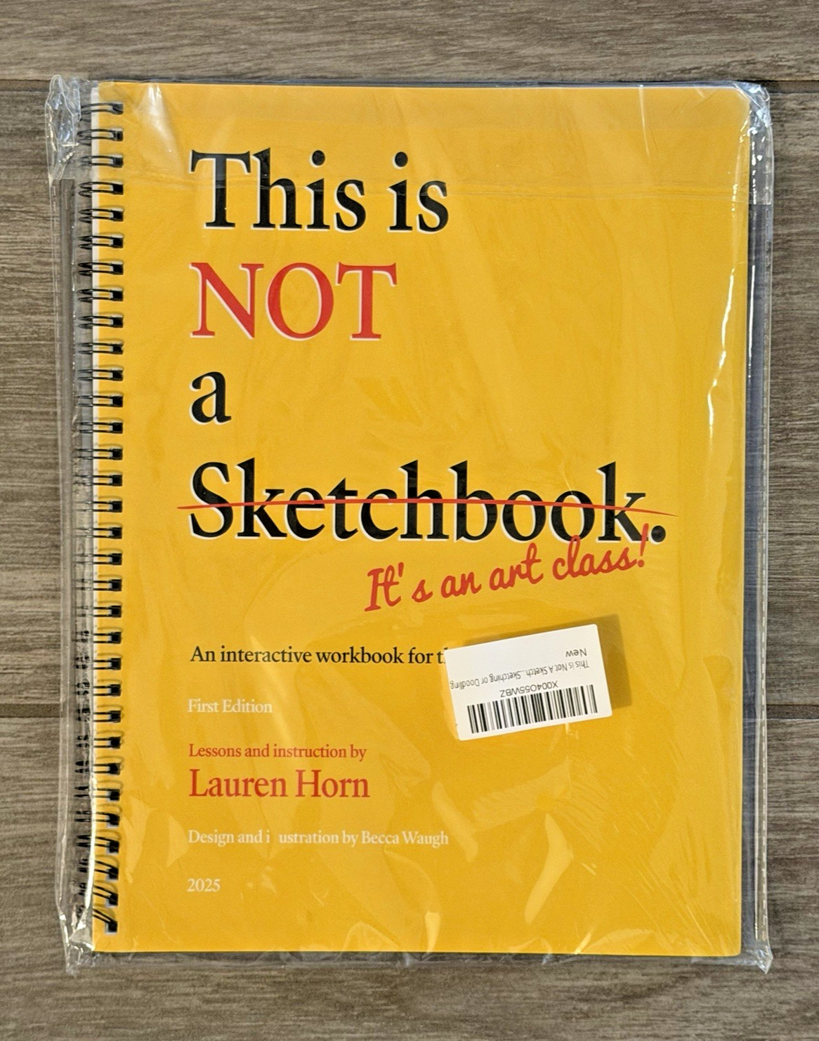 This Is NOT a Sketchbook Lauren Horn Interactive Art Class Workbook New Sealed